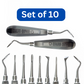10 Pcs Dental Elevators Set – Periosteal Apical Molt Oral Implant