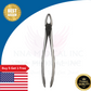 Dental Extraction Forceps MD2 - Precision Instrument for Efficient Tooth Extraction NNA Medical - Dentow Dental