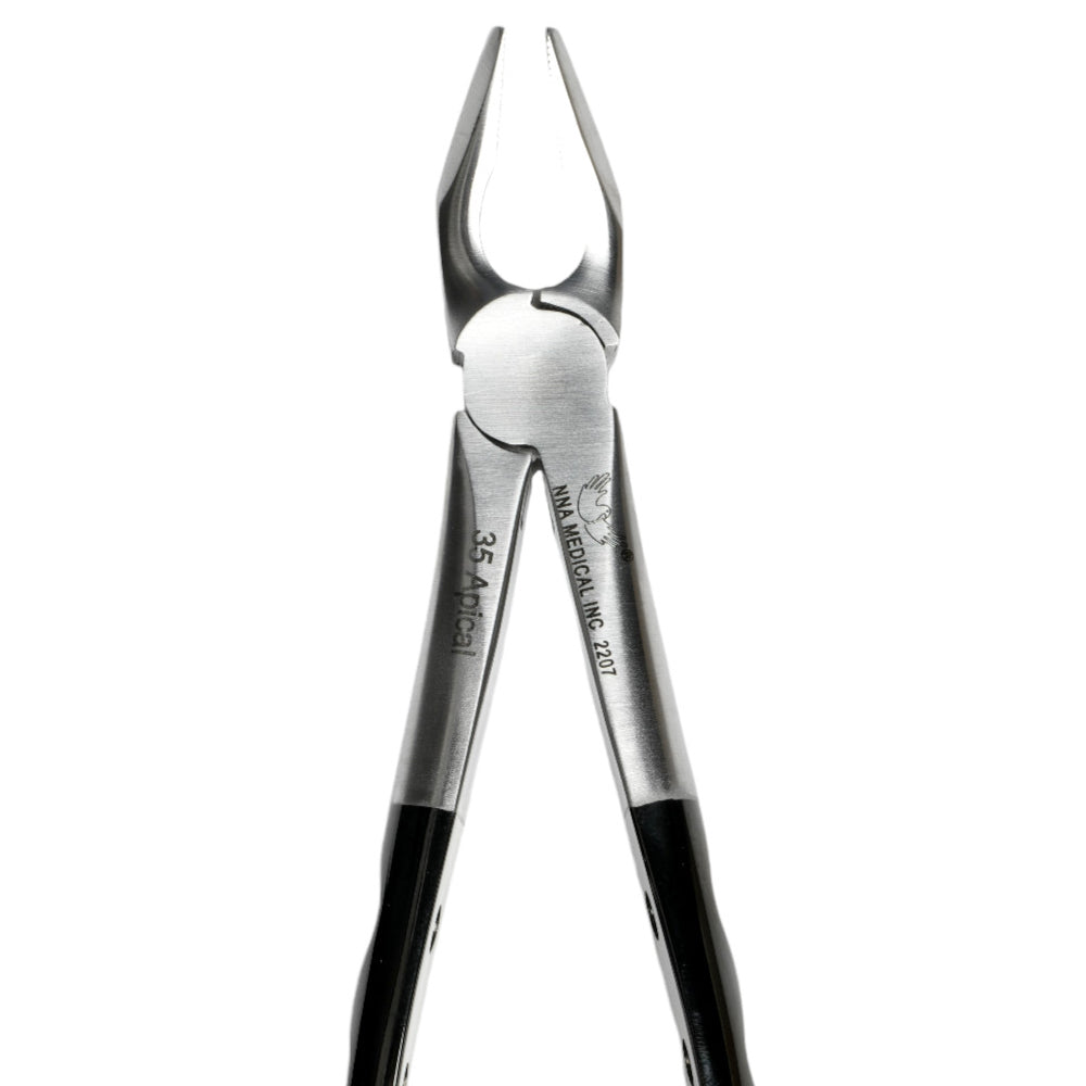35 Atraumair Apical Forceps Upper CanPremolar