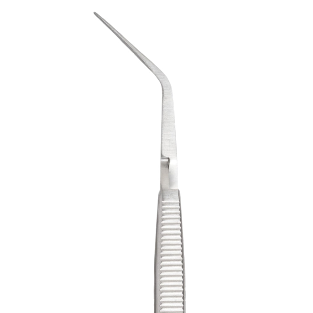 Giraffe Forcep 1X2 Teeth