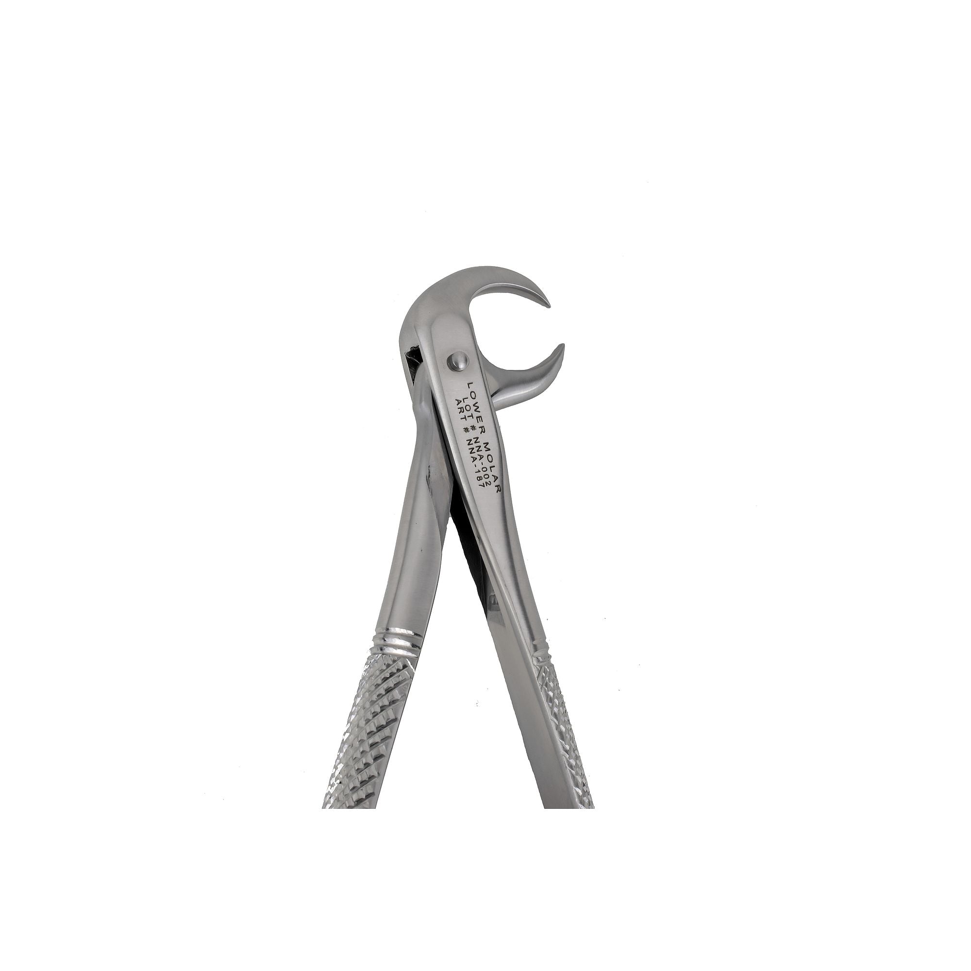 86A Cow Horn Lower Morlas Extraction Forceps