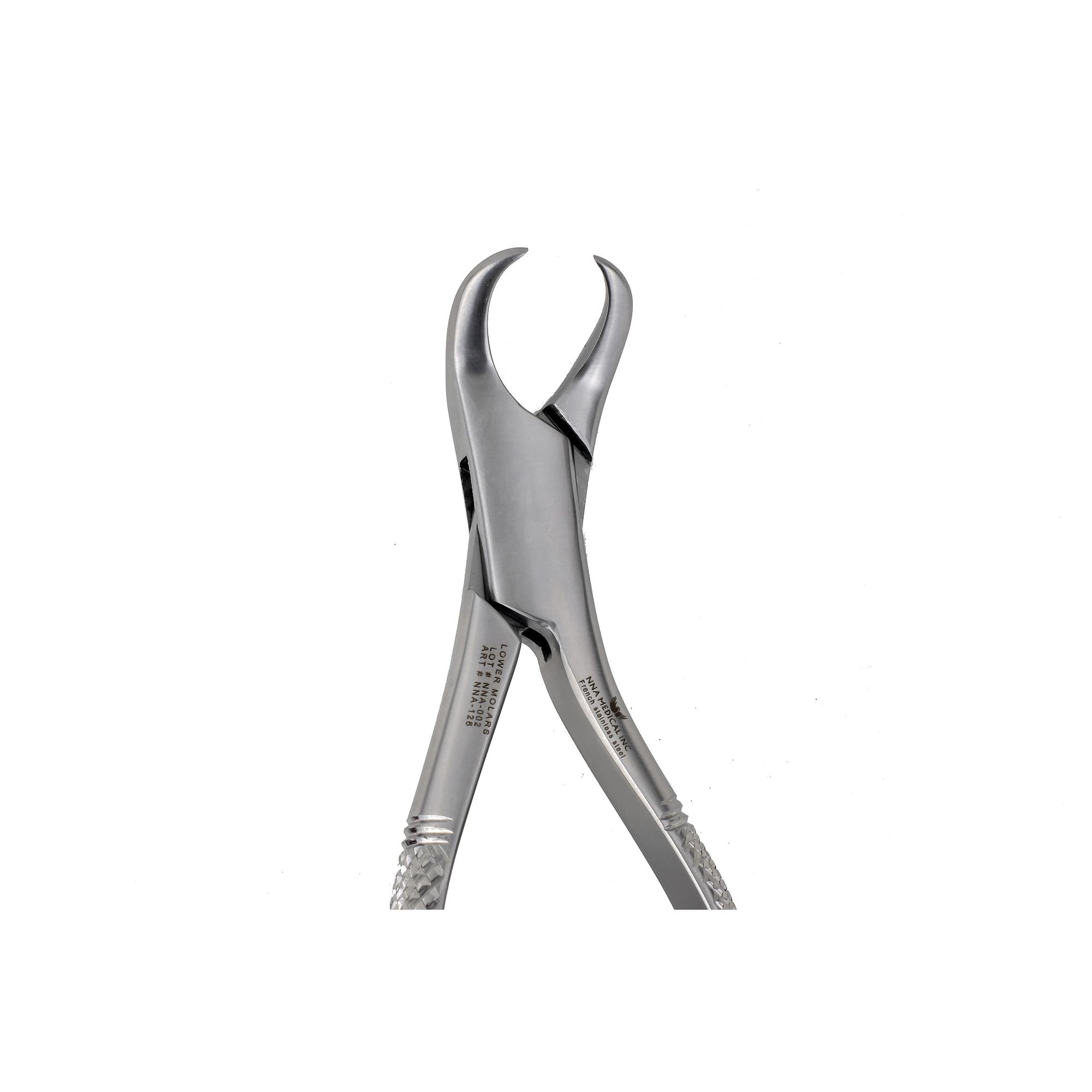 16S 1st and 2nd Lower Molars Extraction