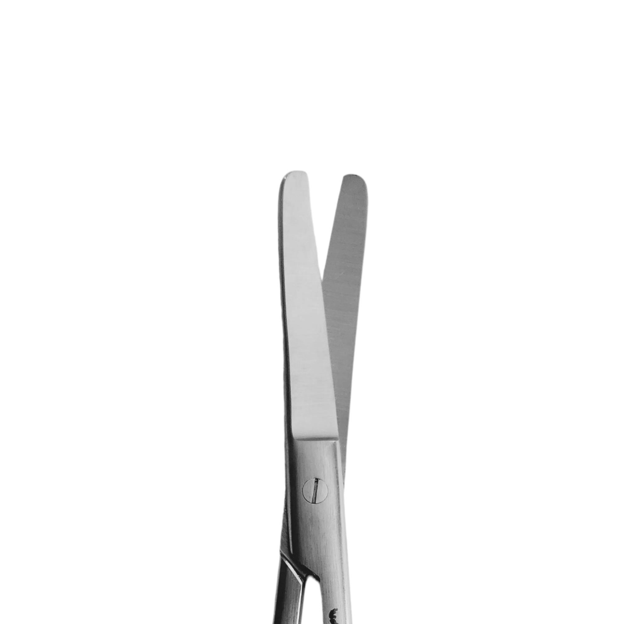 scissors ,scissoring ,scissor ,curved scissors ,curved mayo scissors ,curved medical scissors	