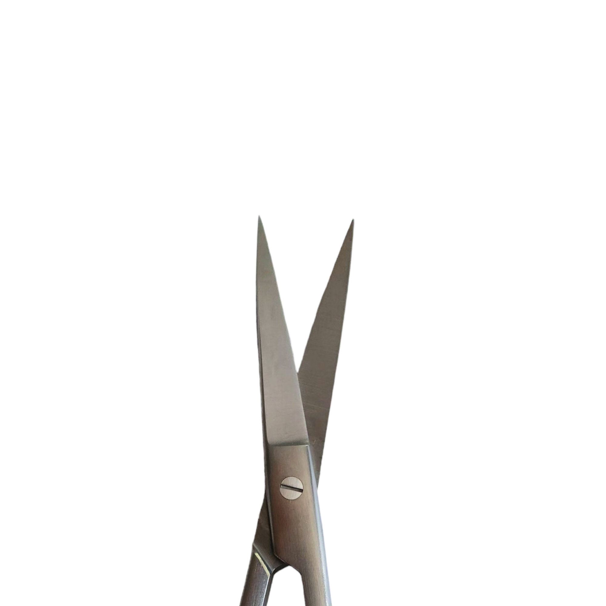 scissors ,scissoring ,scissor ,curved scissors ,curved mayo scissors ,curved medical scissors	